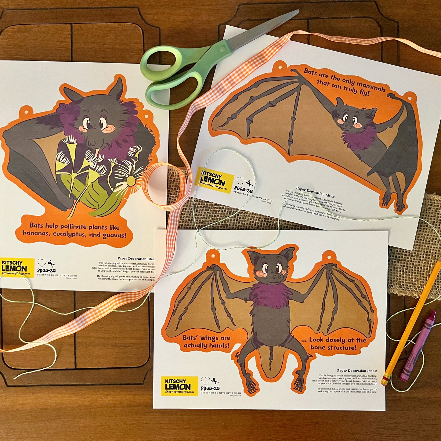 Bats Educational Series Paper Décor