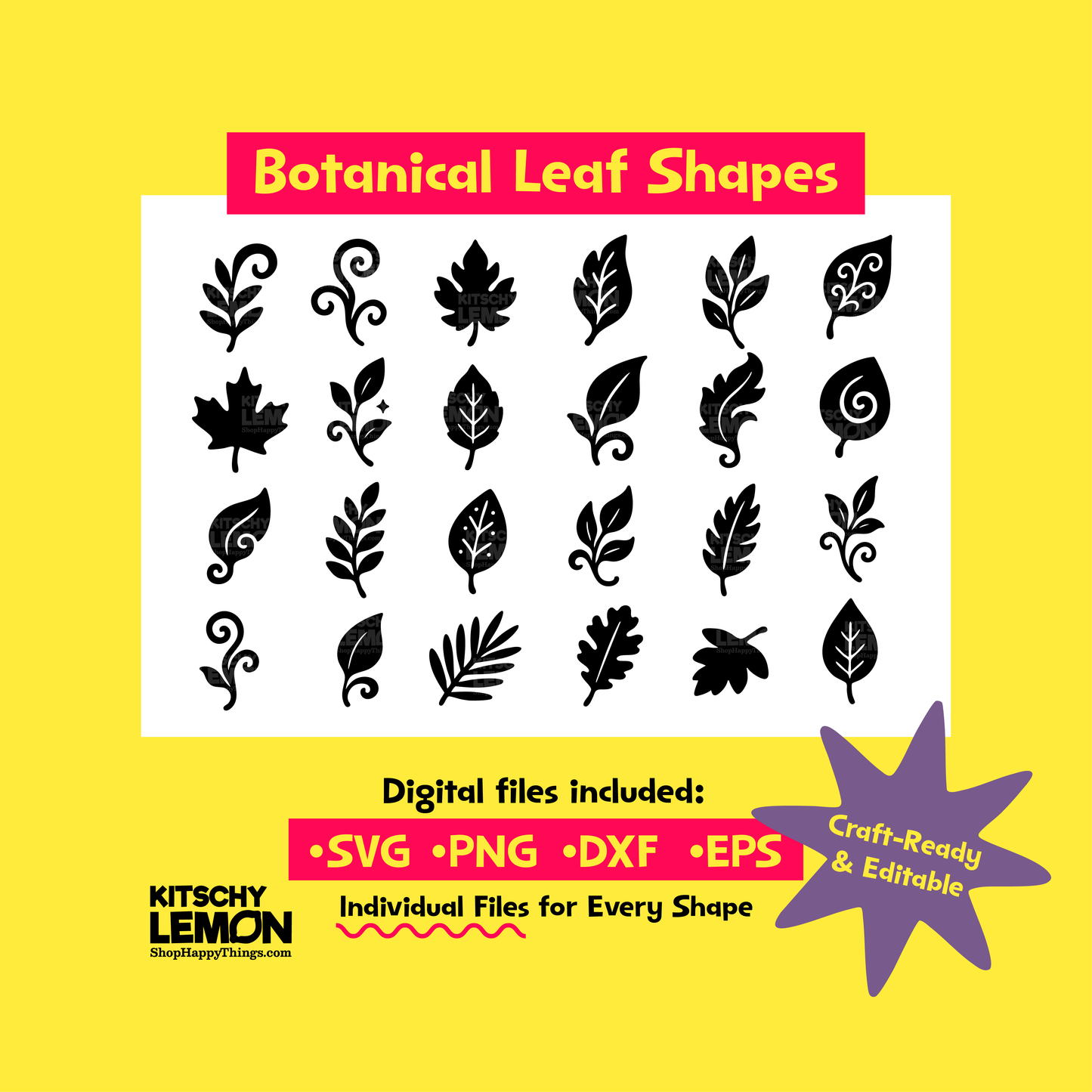 Botanical Leaf Shape Bundle