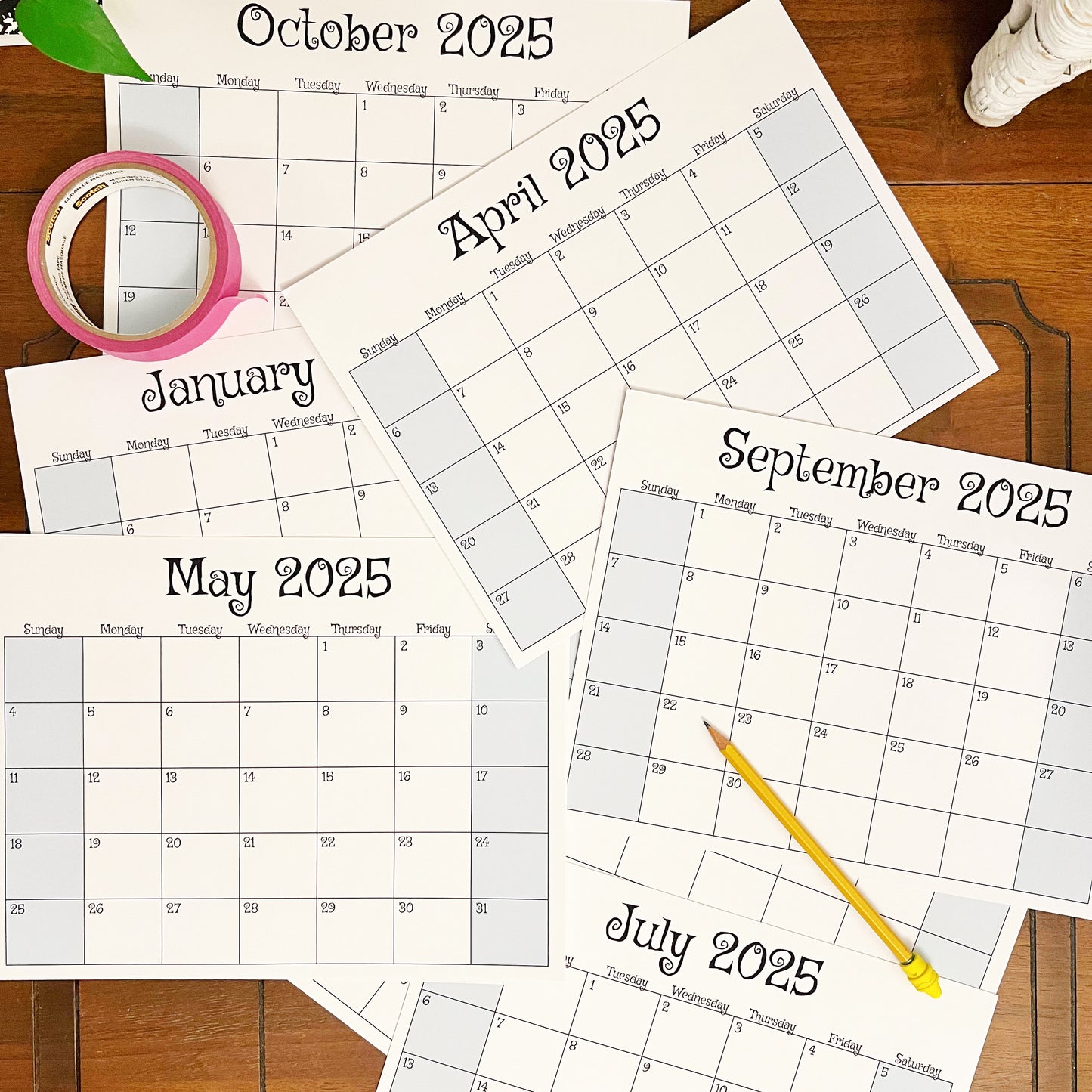 Printable 2025 12-Month Calendar (PDF)