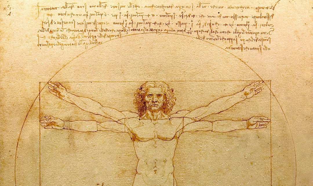 A Study in Human Proportion with Leonardo