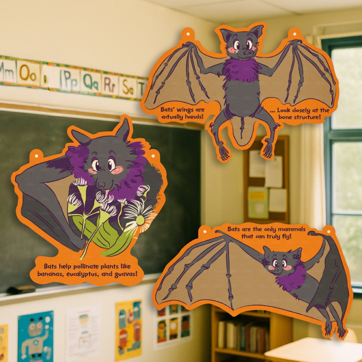 Bats Educational Series Paper Décor