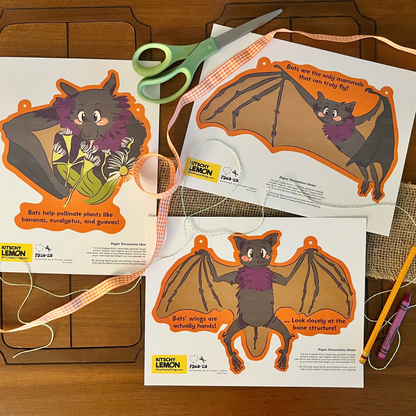 Bats Educational Series Paper Décor