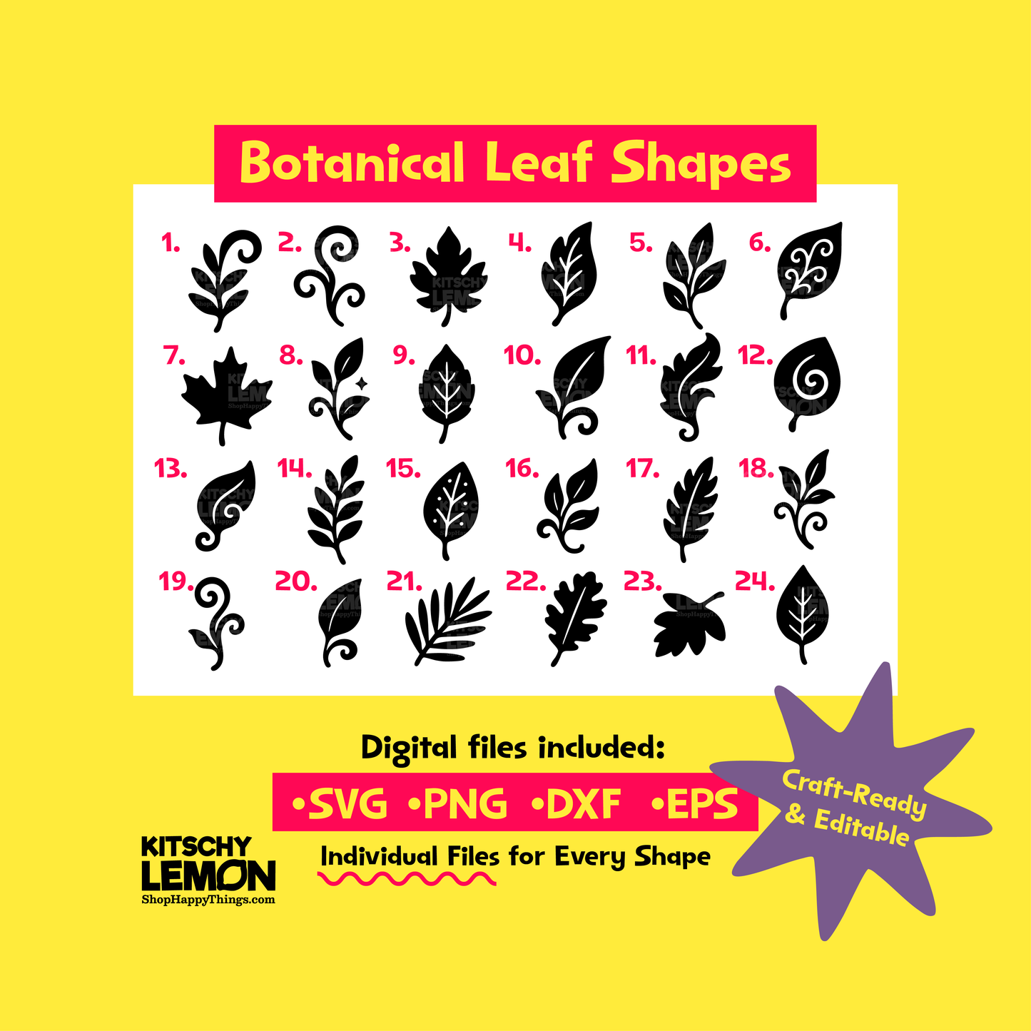 Botanical Leaf Shape Bundle